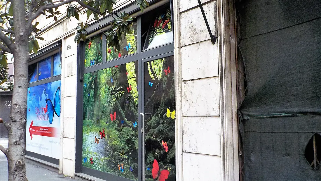 A shuttered shopfront with decorated windows